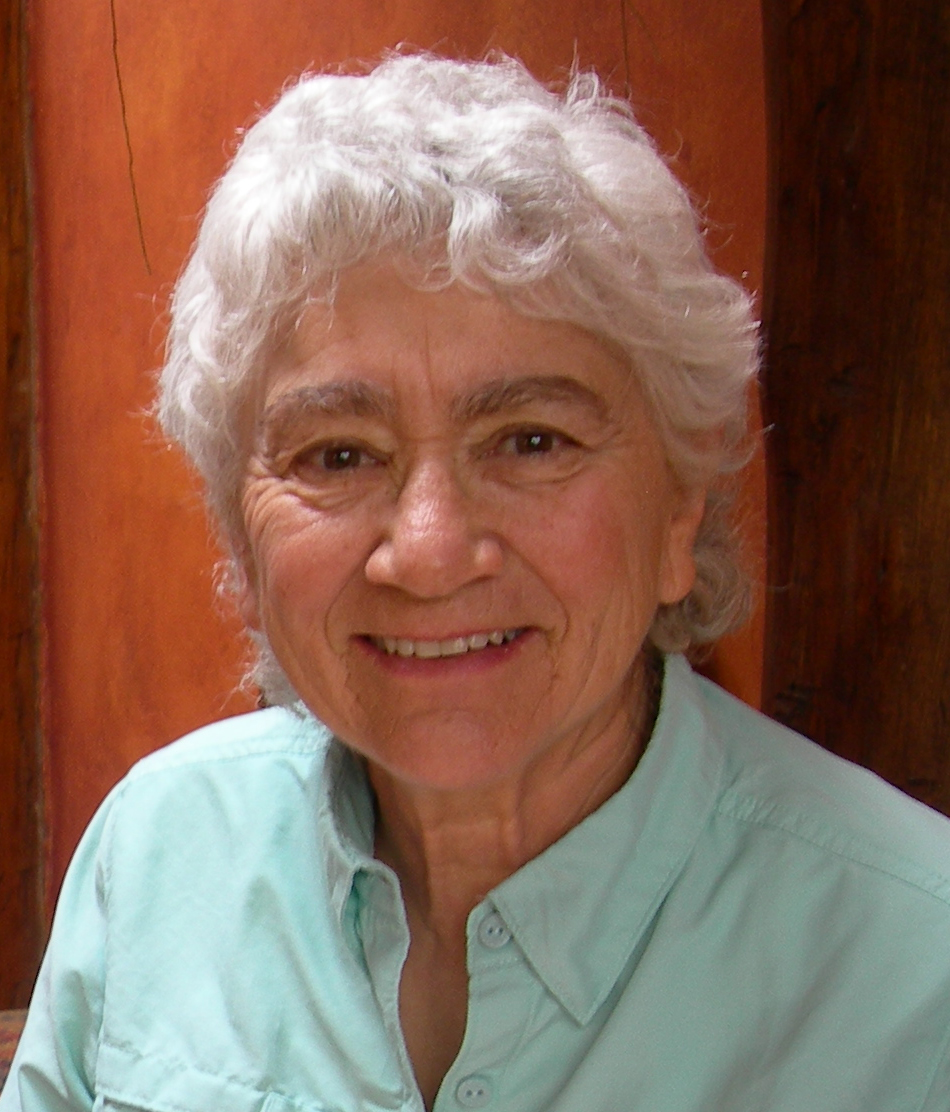 Author Debbie Bulger