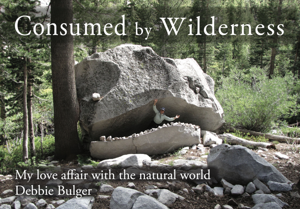 Book cover Consumed by Wilderness by Debbie Bulger